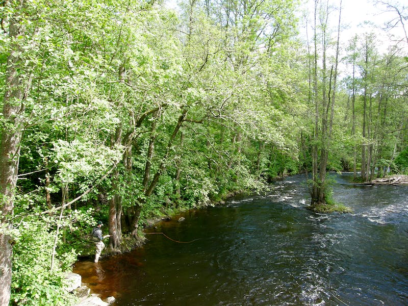 Naturguide till Köping — Naturkartan