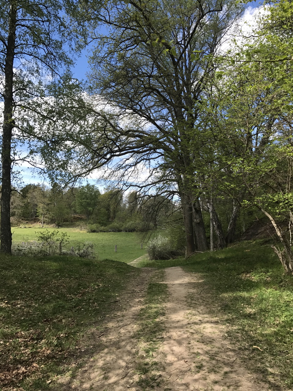 Näsuddens naturreservat