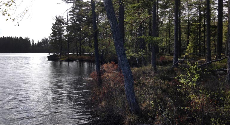 Sjön Gryten, Vargavidderna.