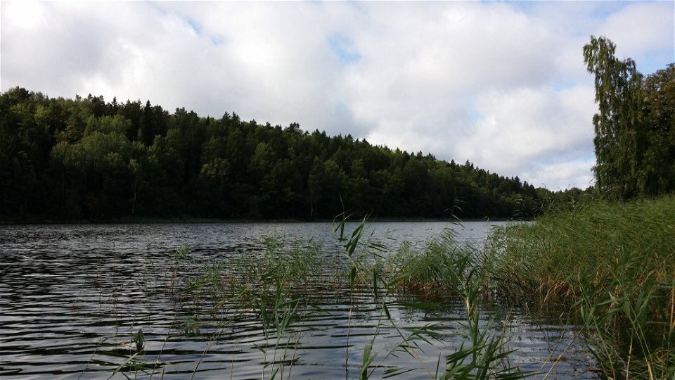 Ekholmsnässjön sedd från fladens nordöstra del. Foto Lidingö stad