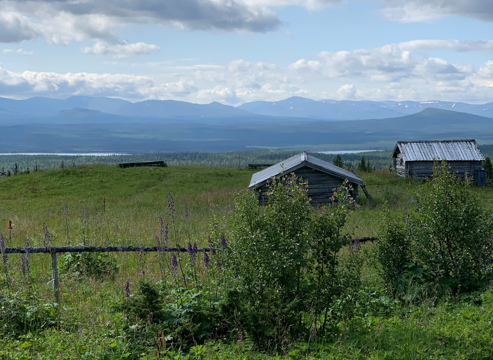 En fäbodvall på fjället i sommarskrud.