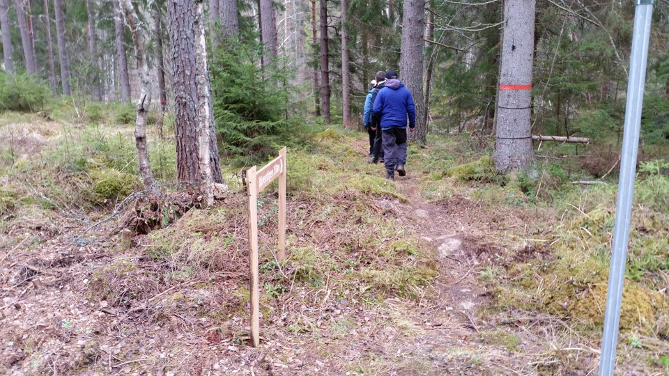 Personer går bortåt längs med stig. En träskylt visar vägen.