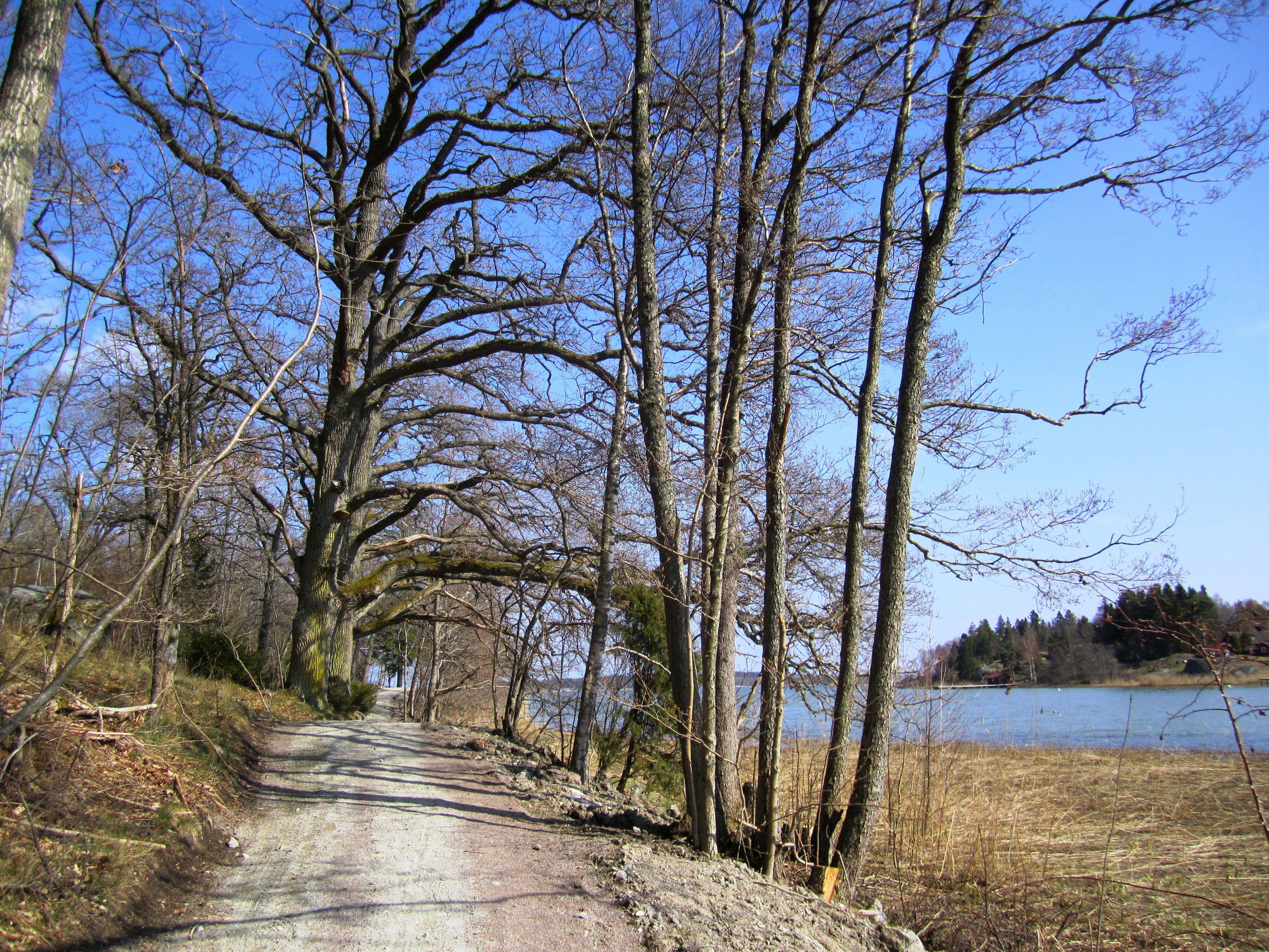Elin van Dooren/Trosa kommun