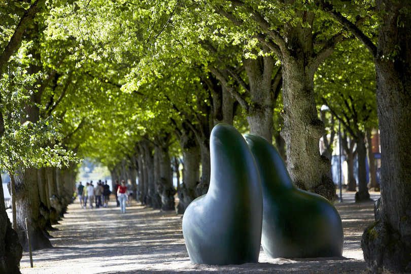 Durus och Mollis av Monika Gora