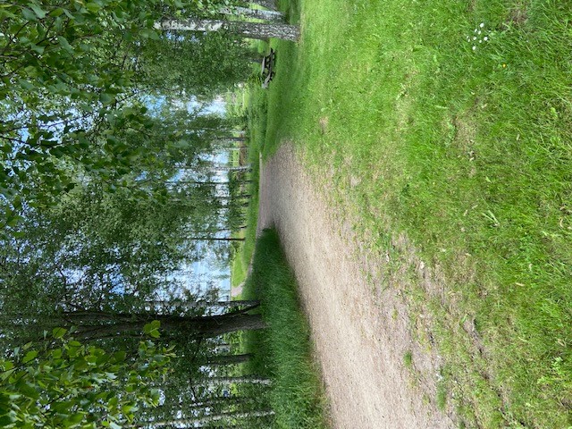 Motionsspår med stenmjöl som underlag