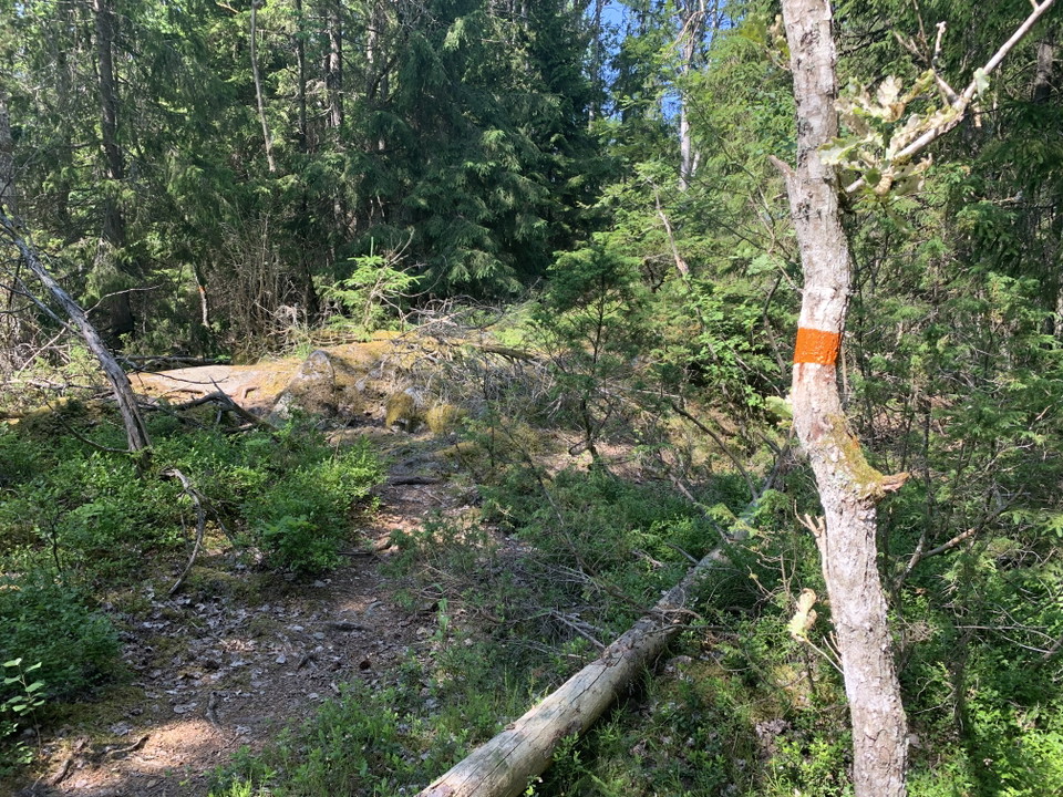 Anslutningsled Värmdöleden - besökarparkering vid entrén i Skärmarö. 