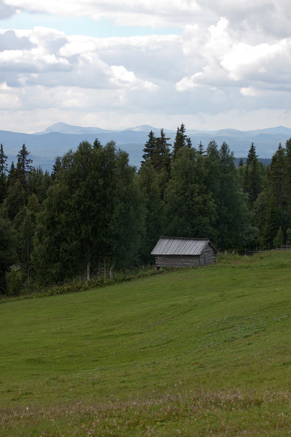 Myrbodarnas fäbodvall.