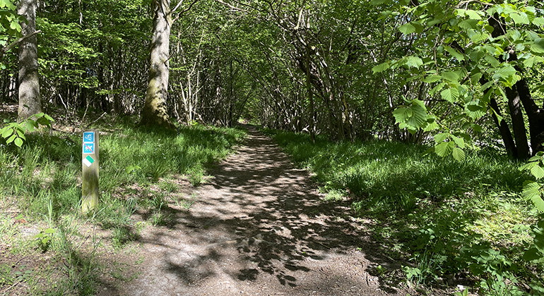 MTB-led i söder.
