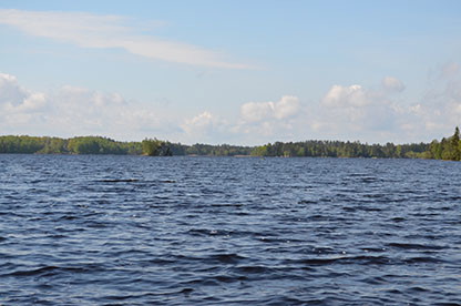 Fotograf: Ingela Eriksson