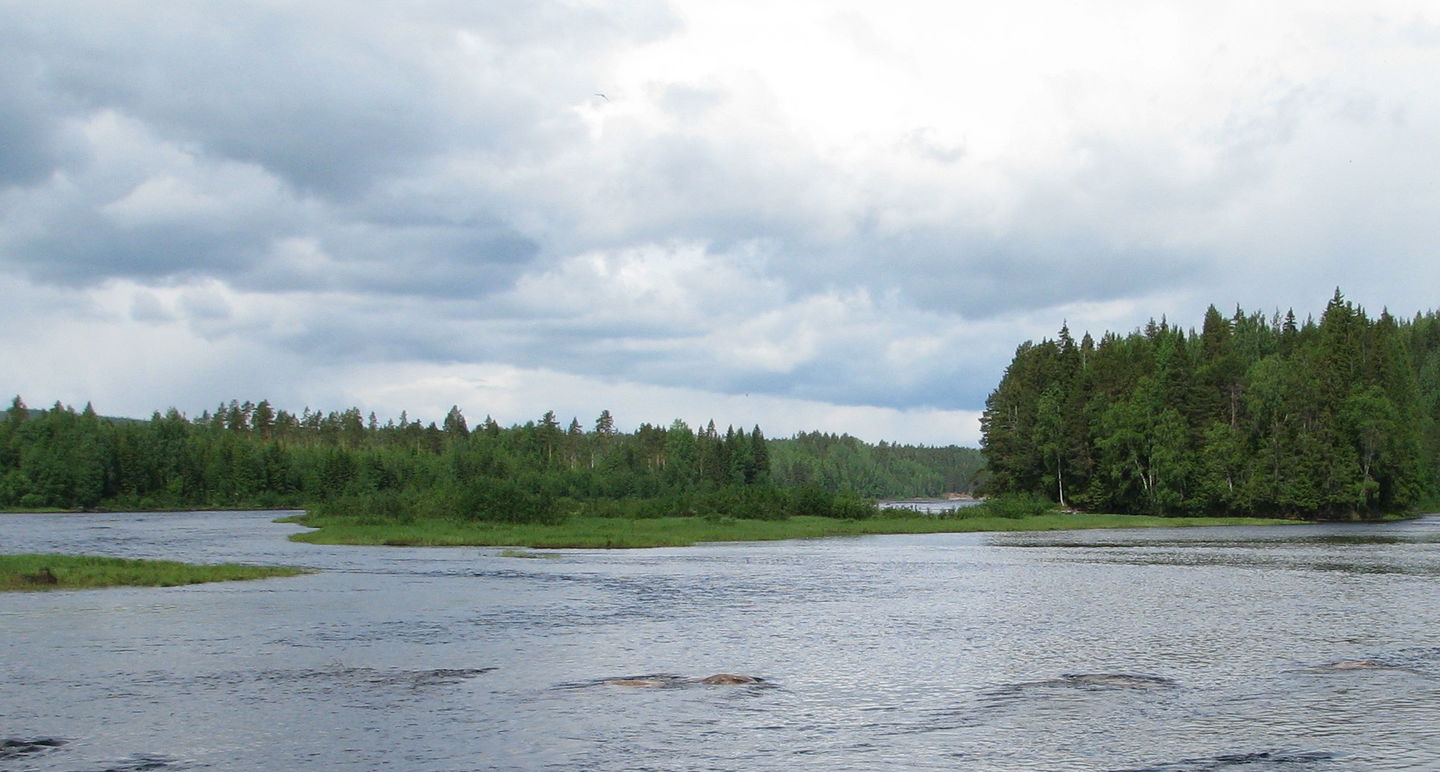 Sorgåns mynne i Mellanljusnans naturreservat. Foto Helena Persson