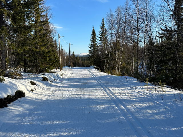 Elljusspår 8,2 km (längdskidor, Vålådalen)