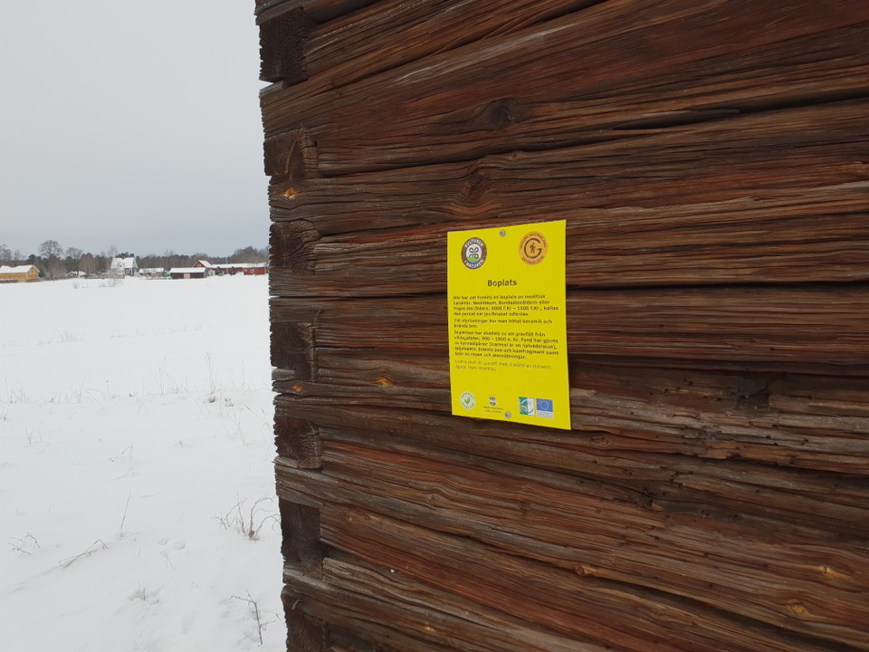 Boplats Vikingatid