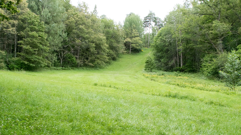 Jan Johansson