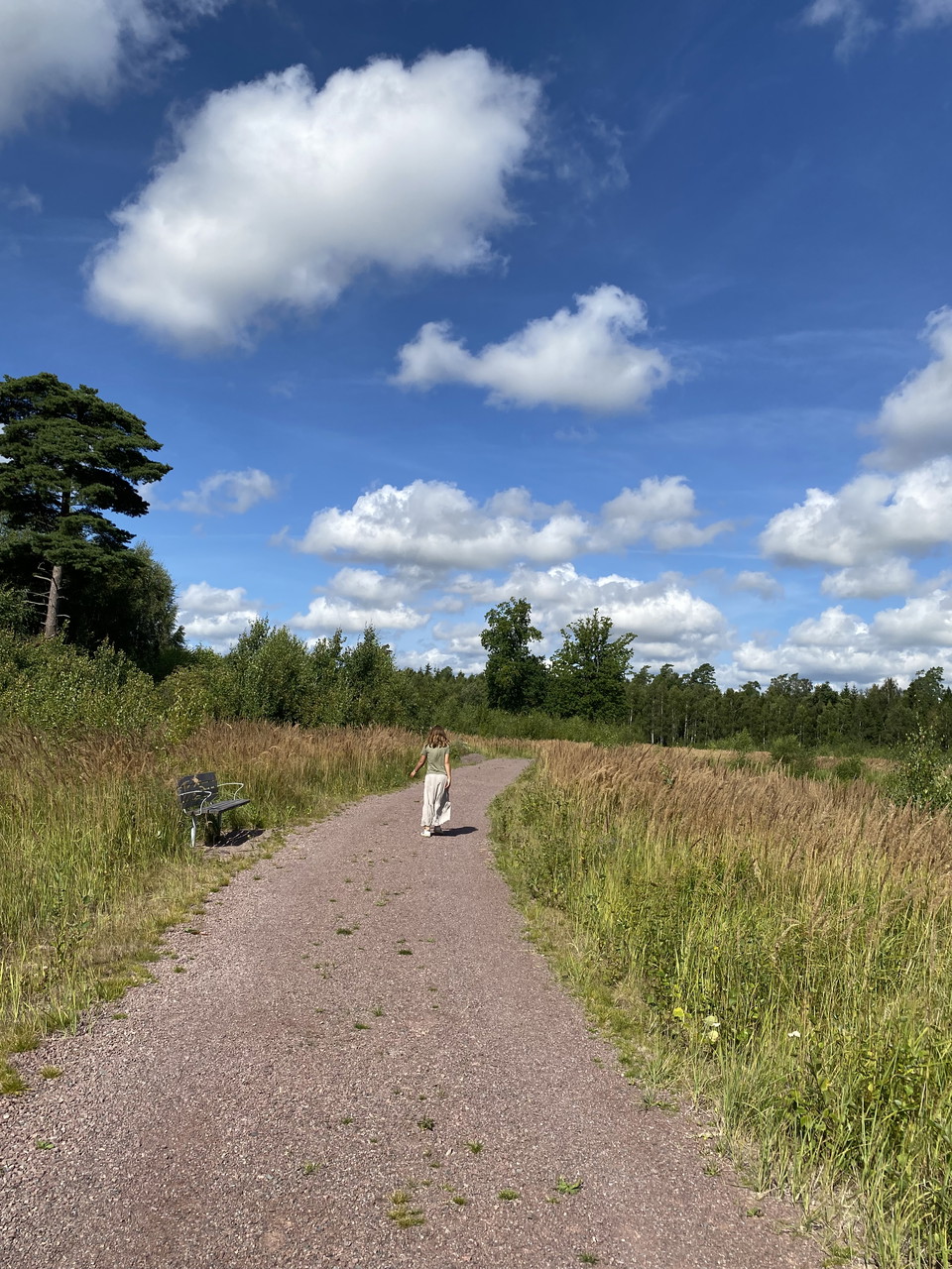 Promenad-löparslinga