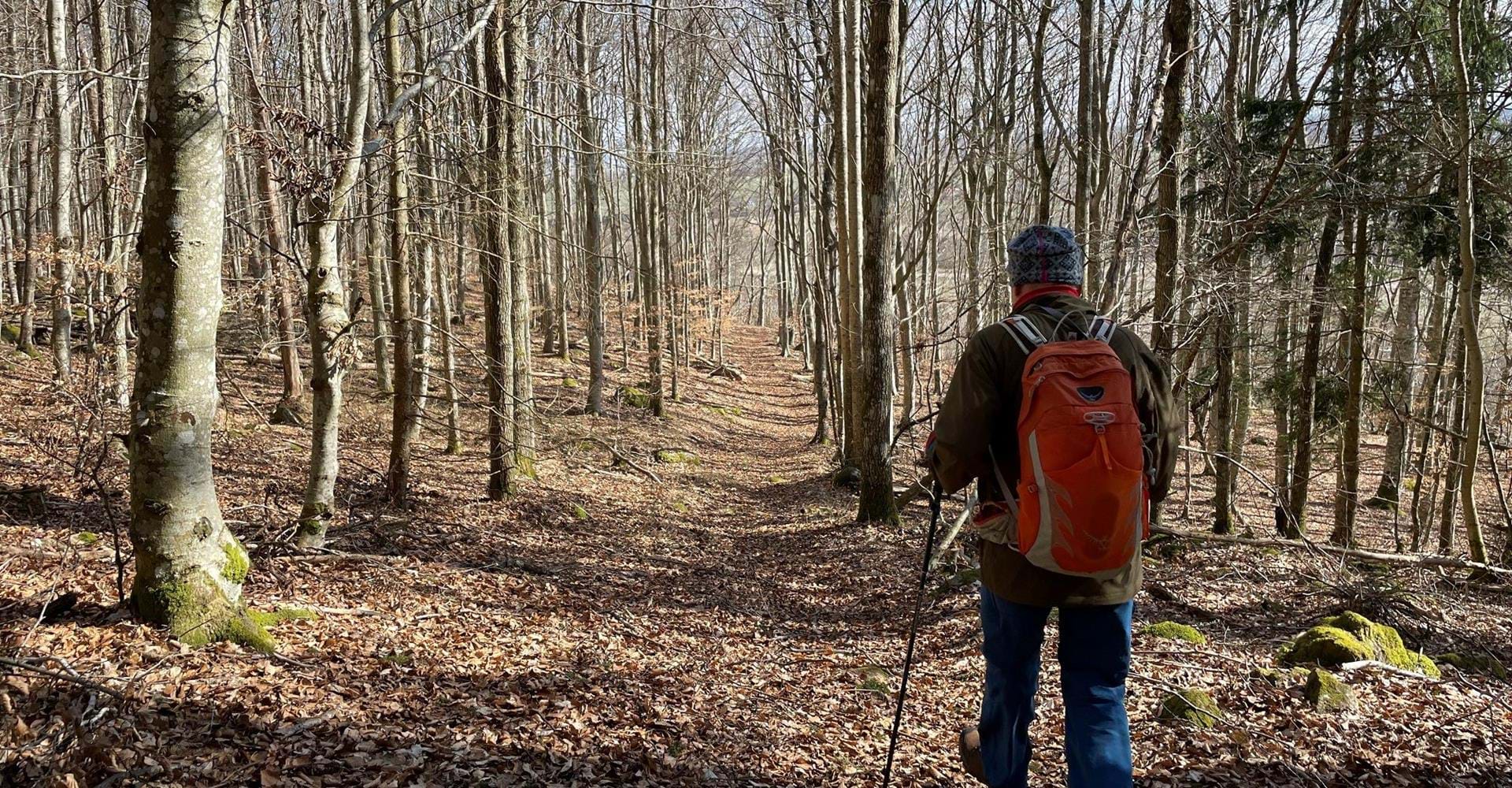 Stora Klintslingan, Östgötaleden