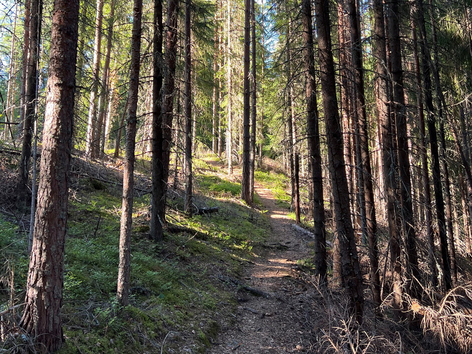 Ljusnanleden