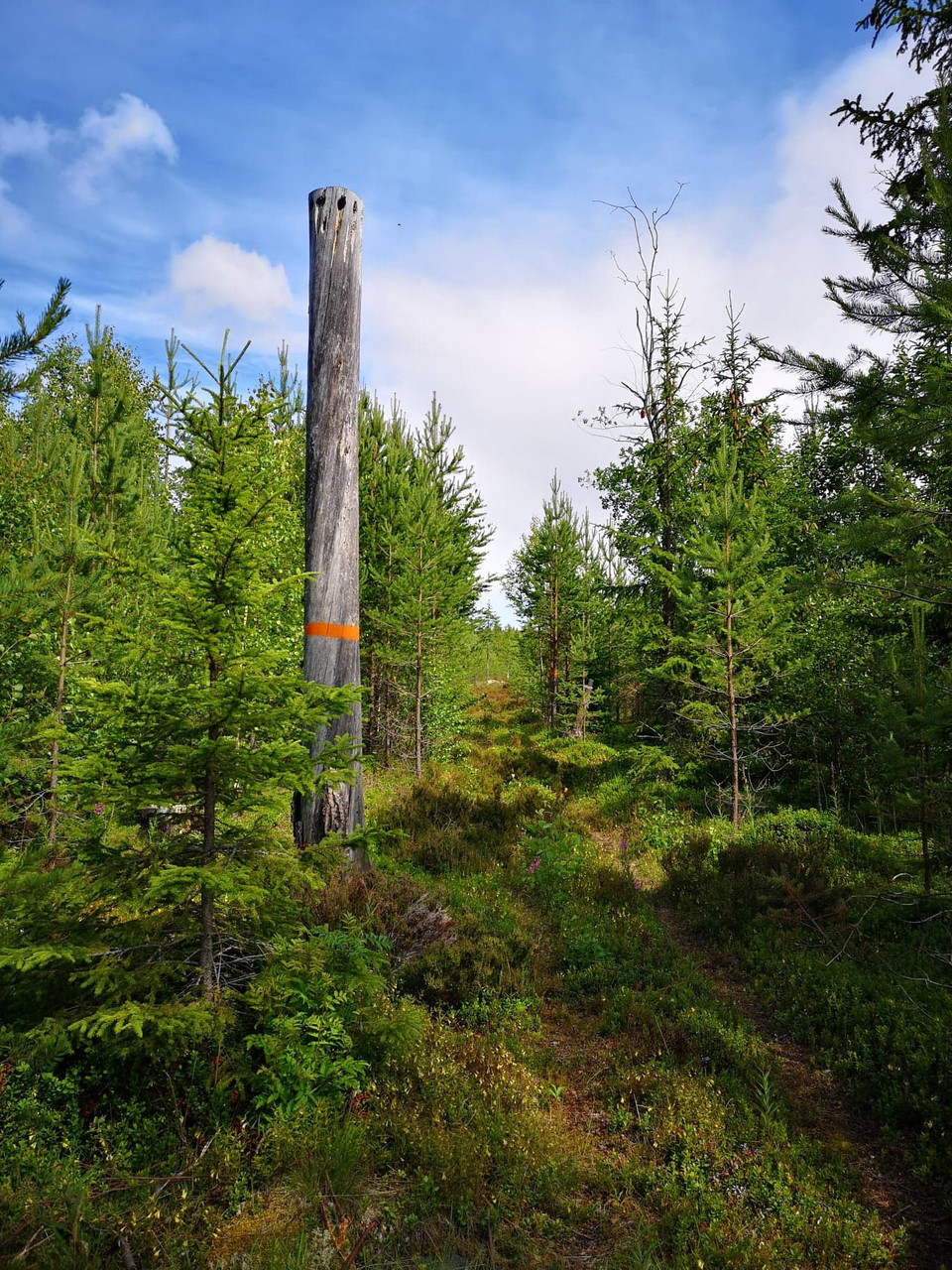 Svag uppför mot Njupfatet