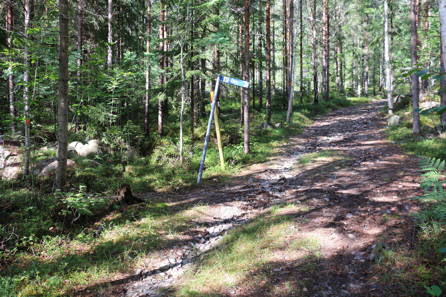 Stig genom skog.