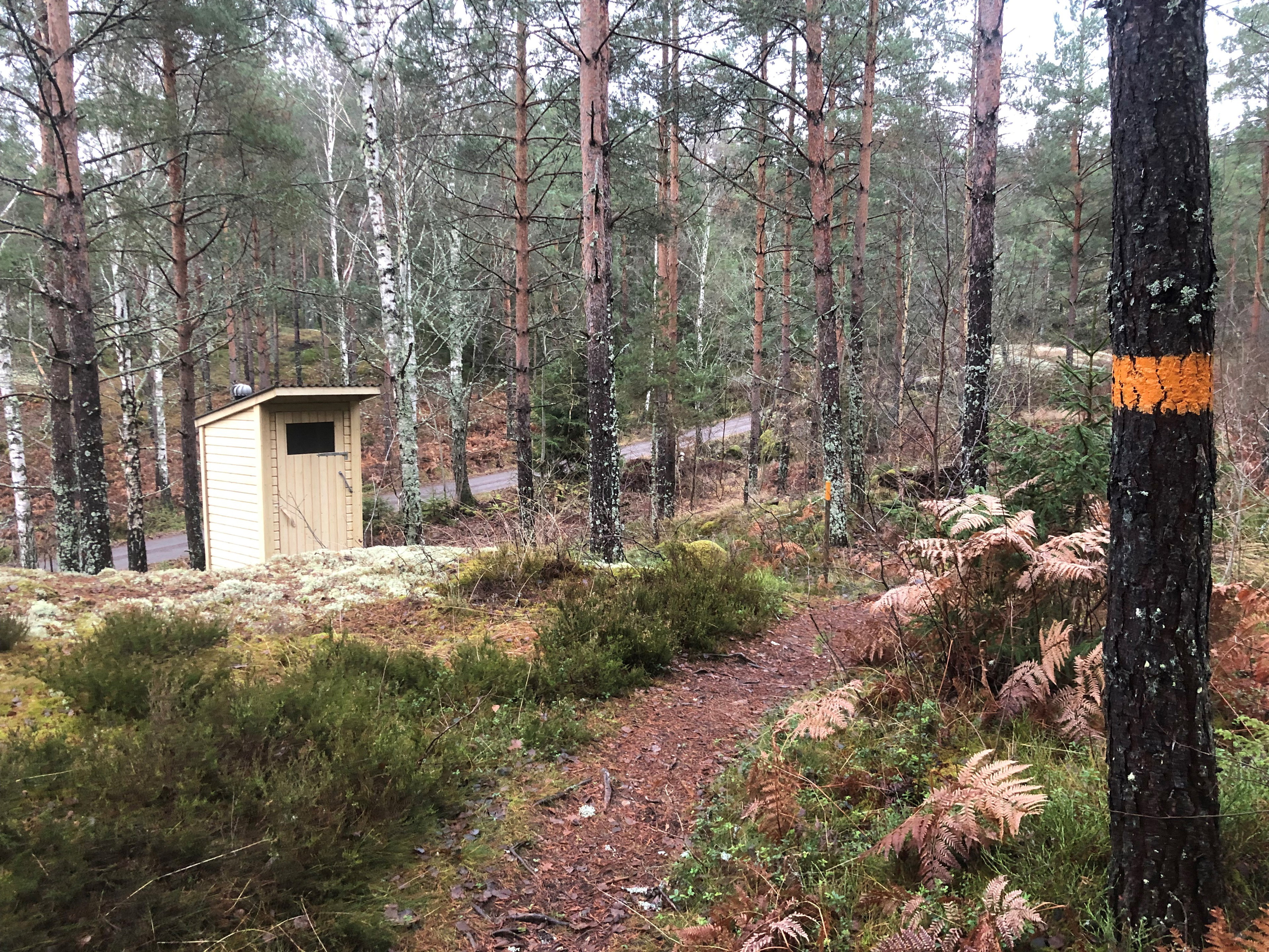 Kvarndammen, torrtoa