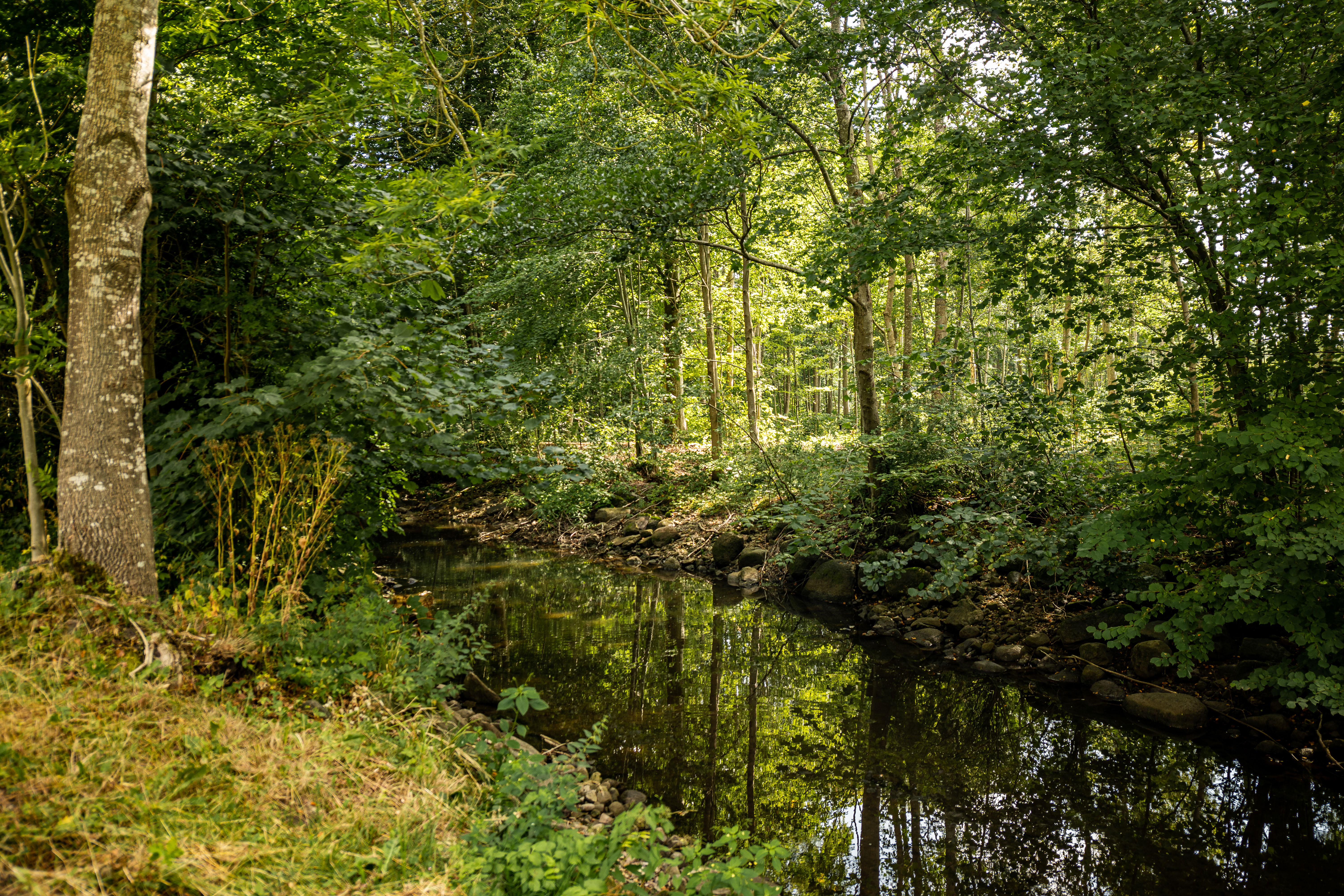 Gullarpssvängen Eslöv