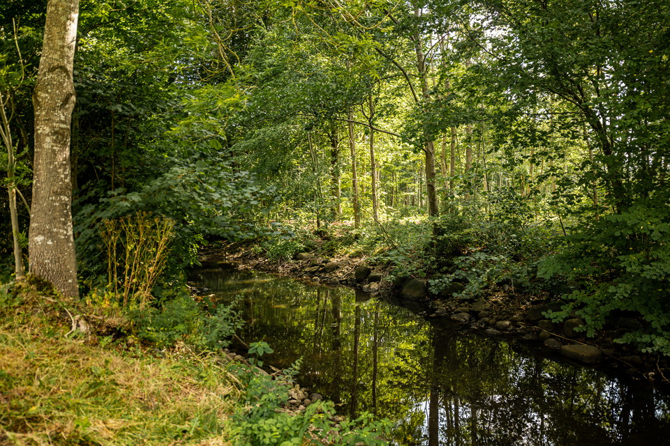 Trollestigen vid Trollenäs