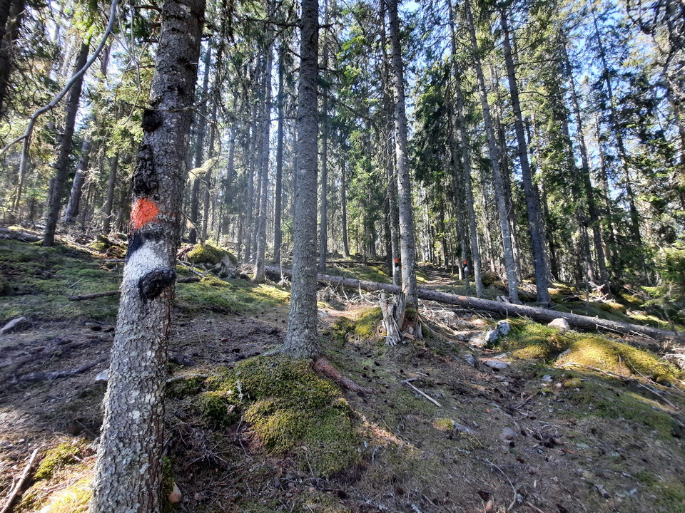 Bergsborundan / Torparrundan går rakt genom biotopskyddsområdet