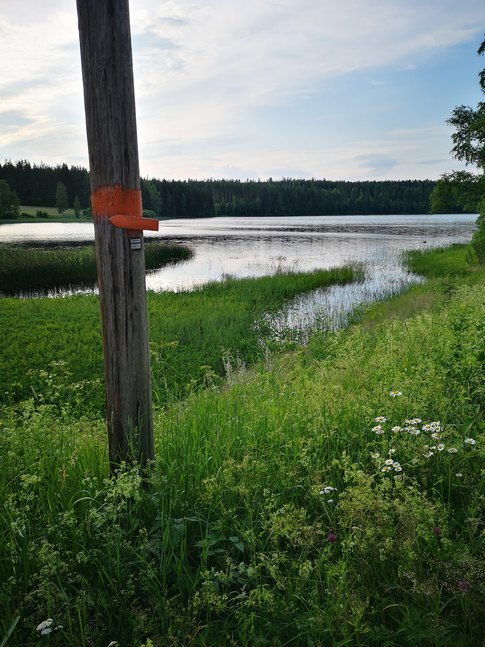 Lissel-Ecklingen, Leden korsar Kalvstigen vid södra änden av sjön.
