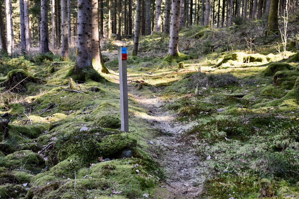 Tvärleden och Brännaredsleden.