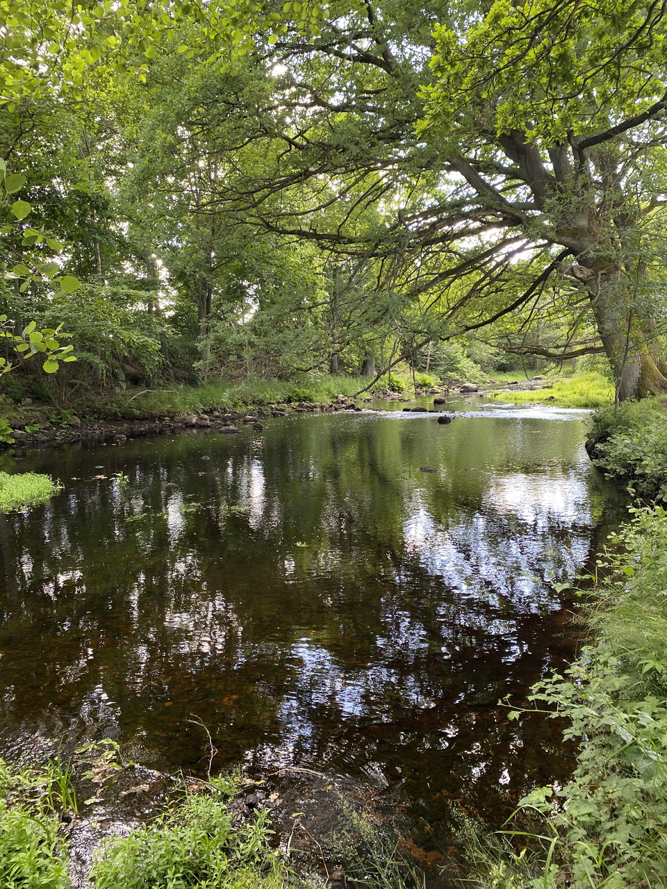 Ljungbyån, Källängen