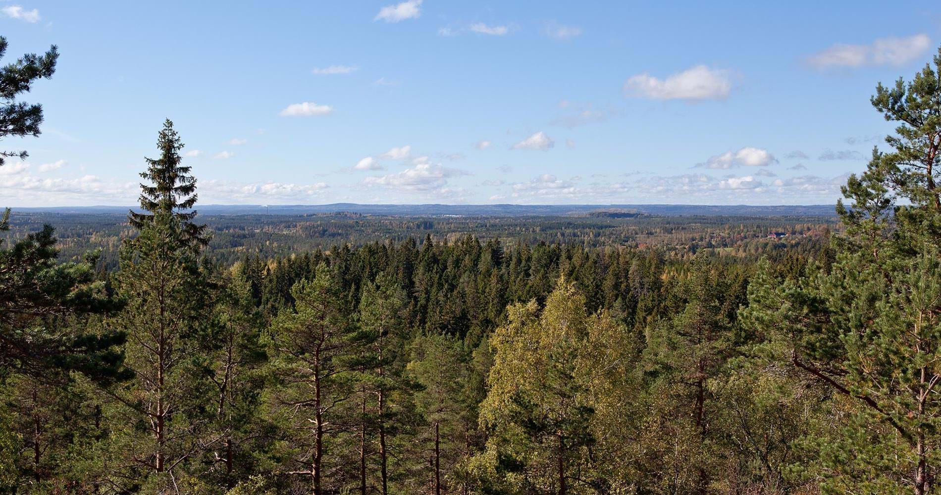 Höglandsleden etapp HÖ17 Ränneborg - Skuruhatt - En del av Smålandsleden