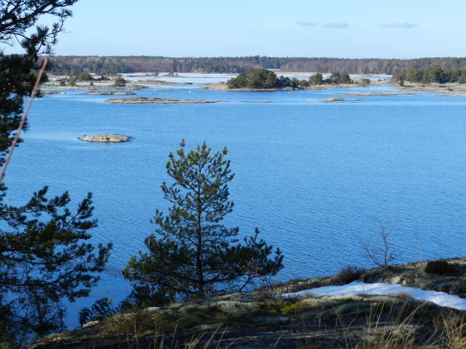 Lars Magnusson