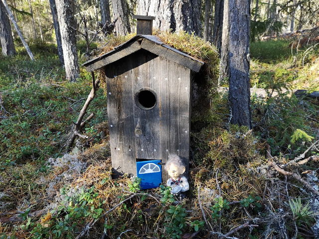 Barnslingan vid Motionscentret i Bratthé