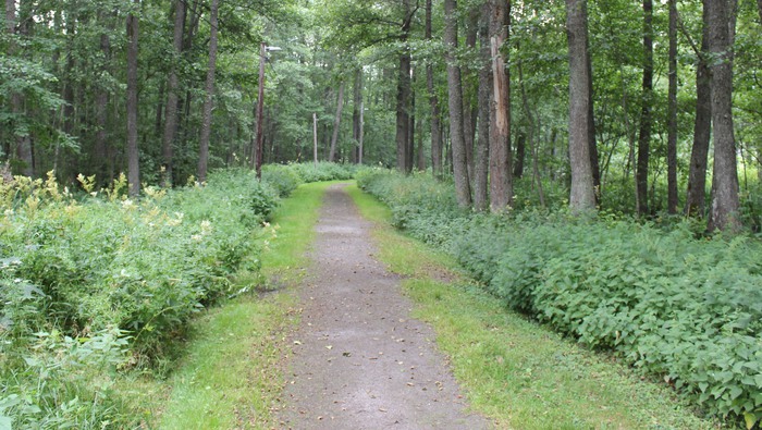 Åkersspåret 1,3 km (elljusspår)