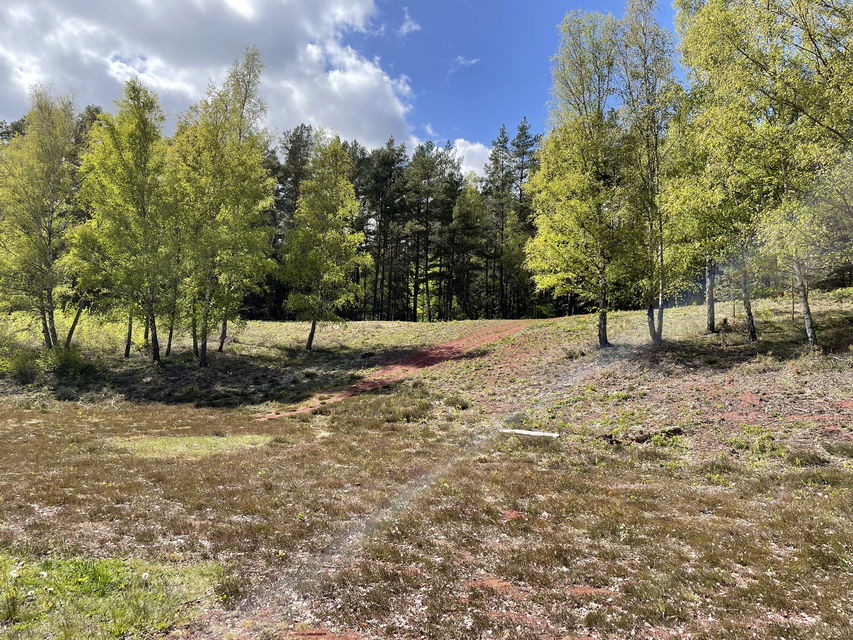 Pulkabacke, barmark