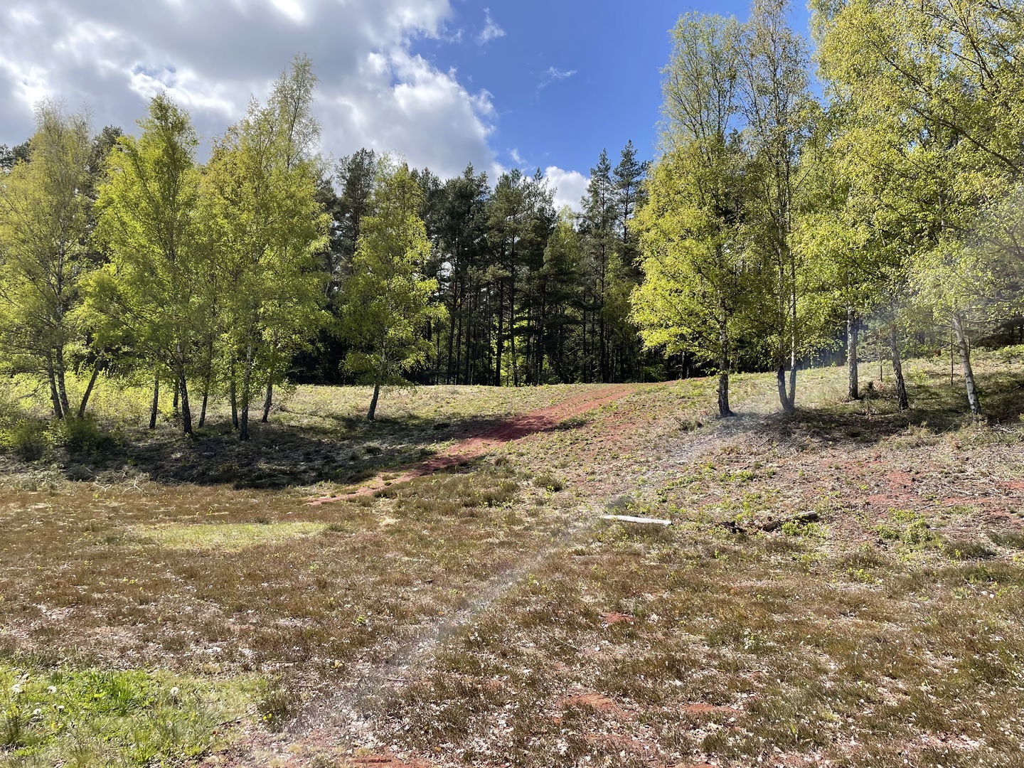 Pulkabacke, barmark