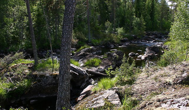 Måndagsskogarna, Naturreservat