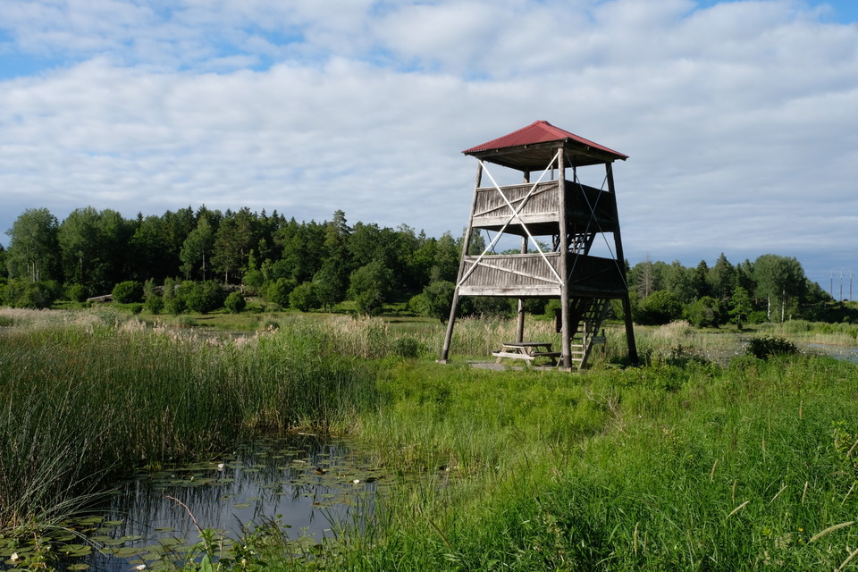 Stigen utgår från fågeltornet.