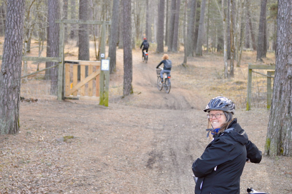 En kvinna med cykelhjälm leder cykeln på leden genom tallskogen. 