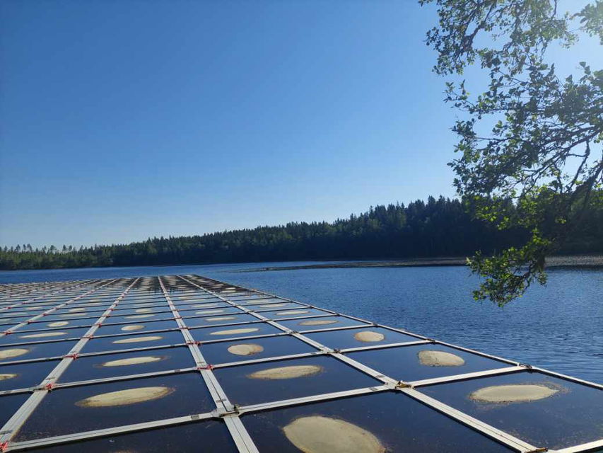 Täckande ramar bekämpar sjögull
