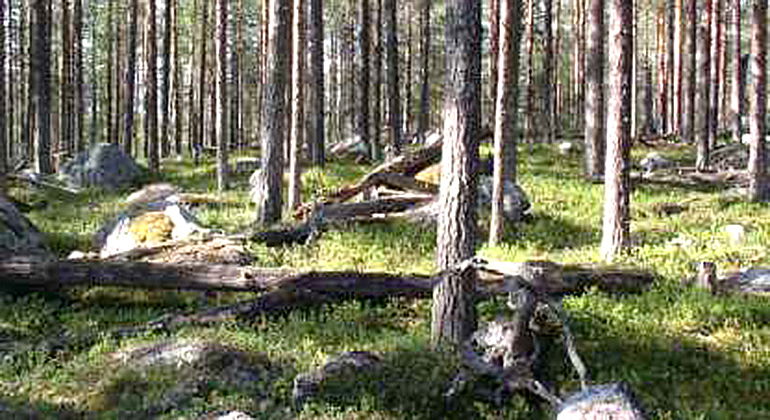 Globerget.