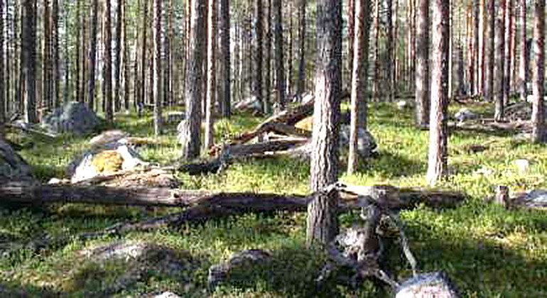 Globerget.