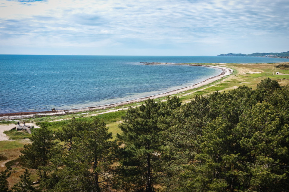 Tallbacken i Strandbaden