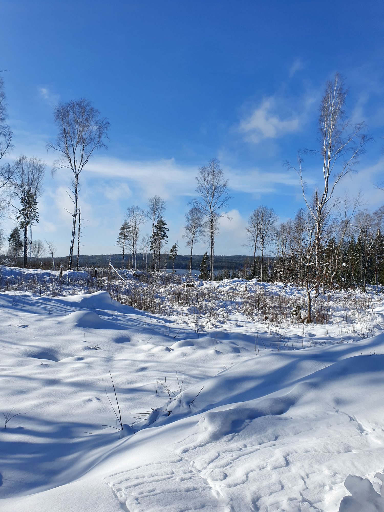 Stuga i Sågkvarn Tiveden
