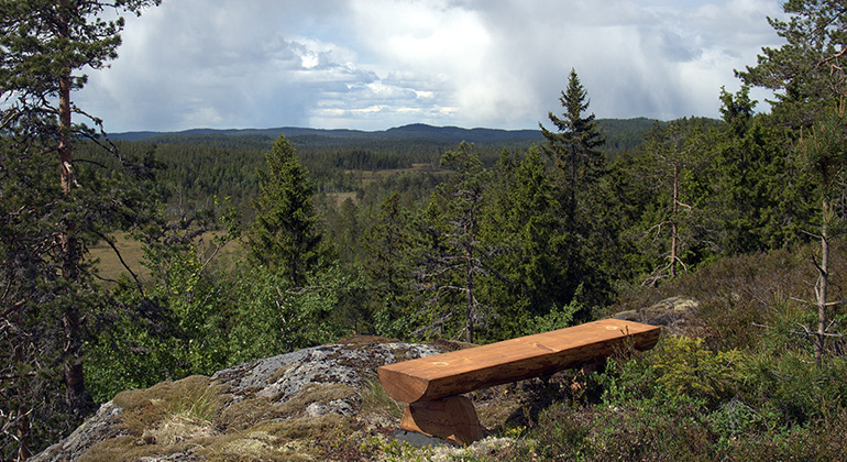 Måns-Olasberg, Naturreservat