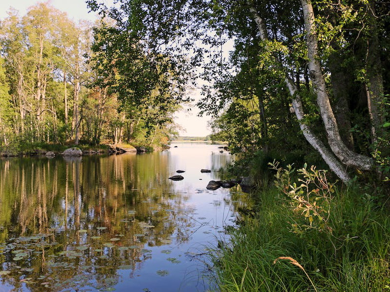 Gnien Rousset Naturguide til Surahammar — Naturkartan