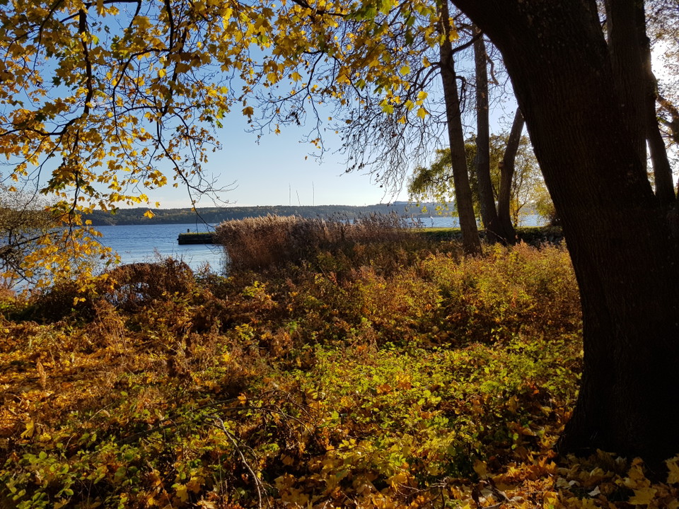 Strand vid Mölna gård. Foto Lidingö stad