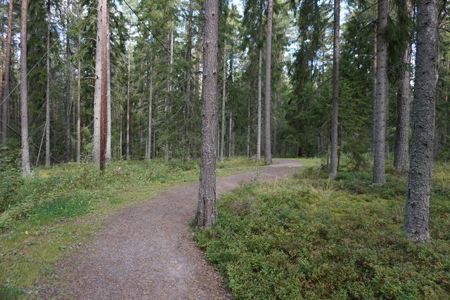 Valbo Sportcentrum motionsspår 