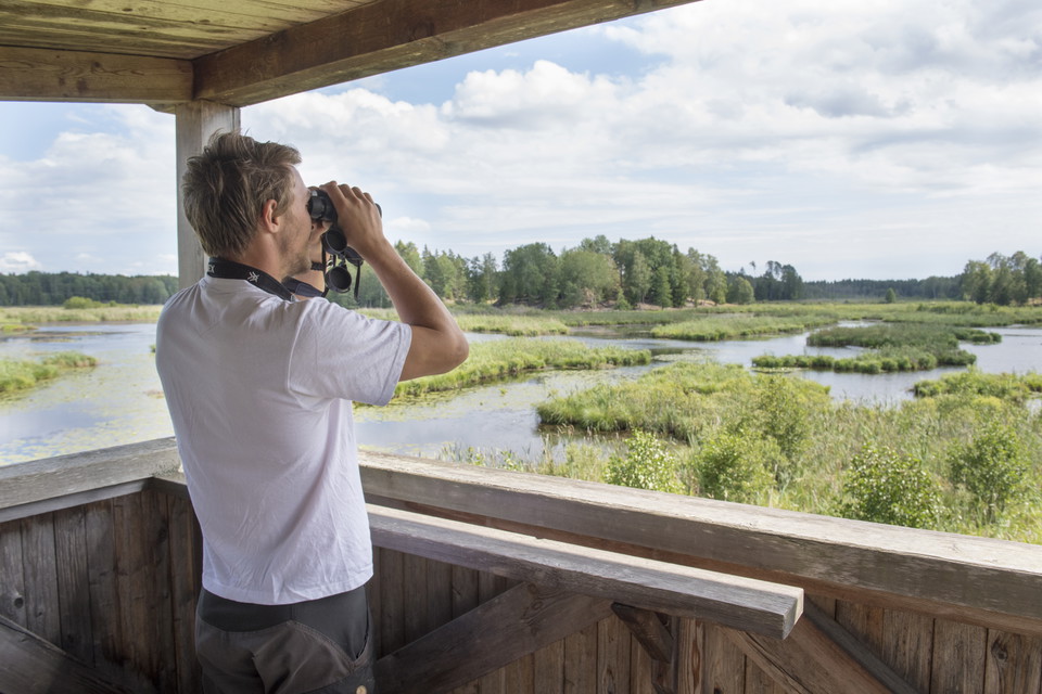 Skåda fågel från fågeltornet eller bara njut av utsikten