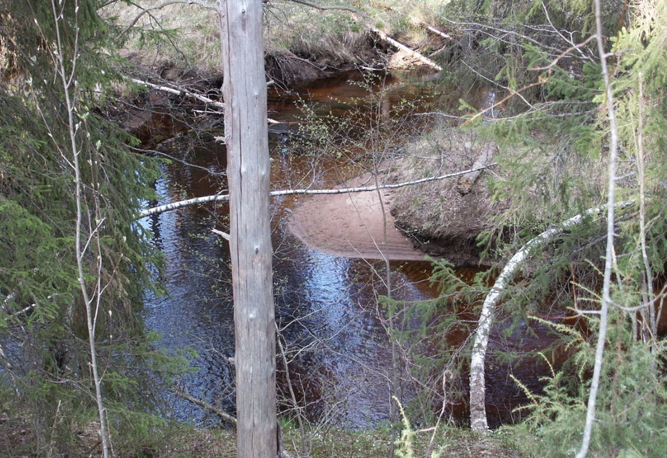 Enån. Foto Yvonné Öhrnell