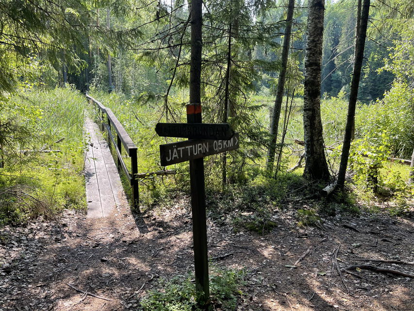 Längs med leden